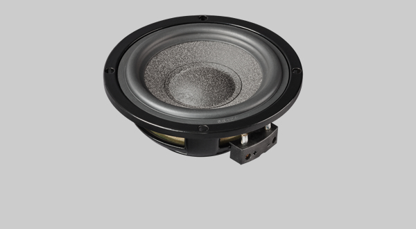 High End Cone Midrange Speaker